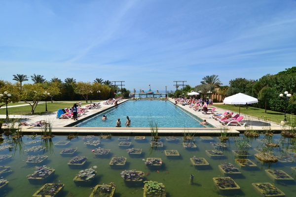 Edde Sands on Sunday